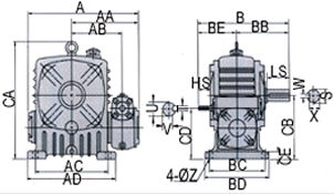 speed reducer