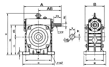 speed reducer